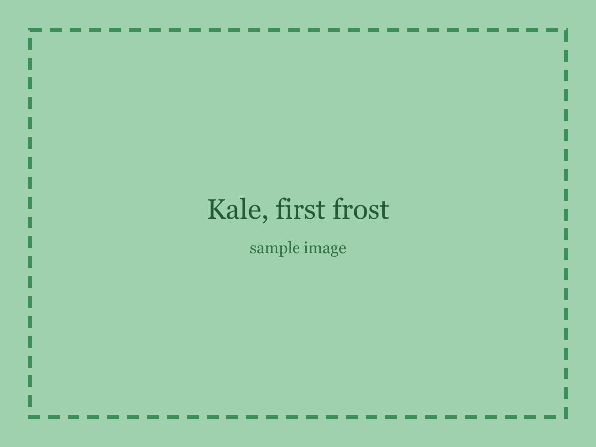 Sample placeholder image: Kale, first frost.